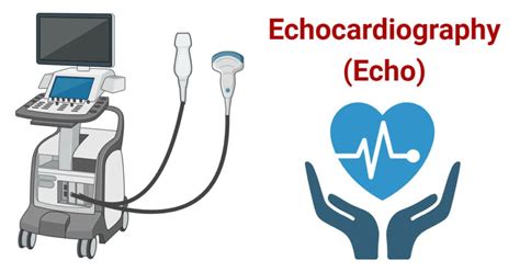 2d echo validity period|Echocardiogram: Benefits, Indications, and What to .